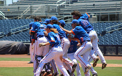 boys celebrating baseball