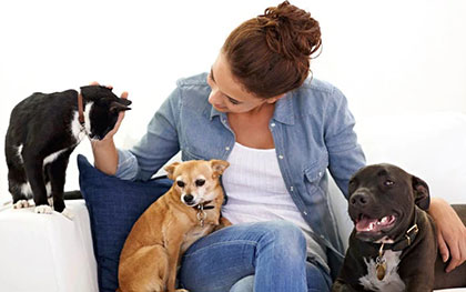 Pet sitter with 2 dogs and a cat